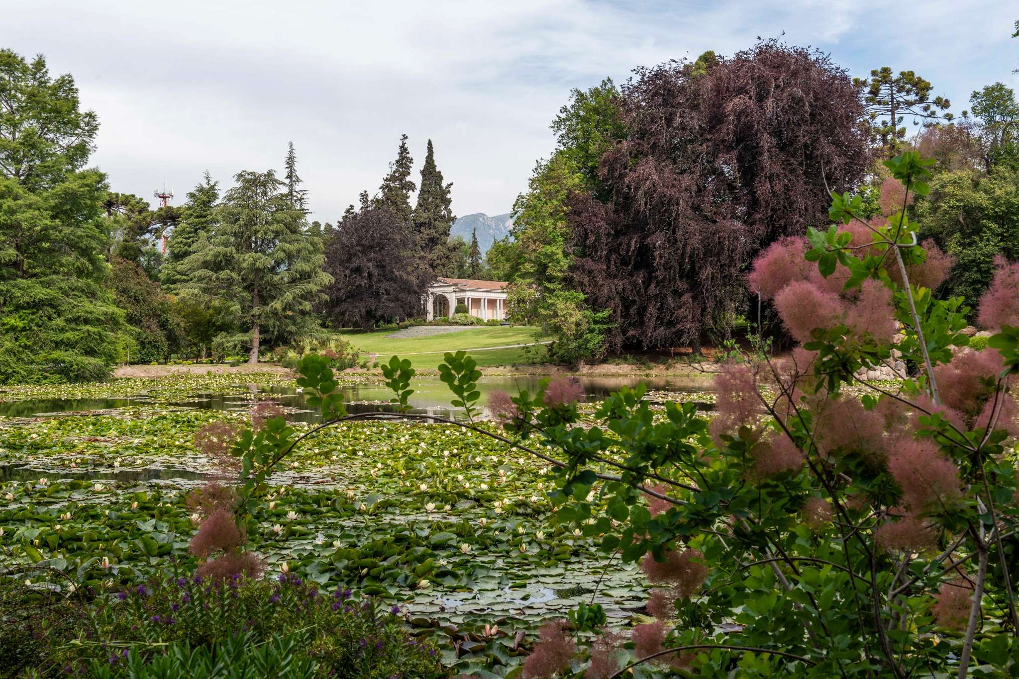 Viñedos en Pirque