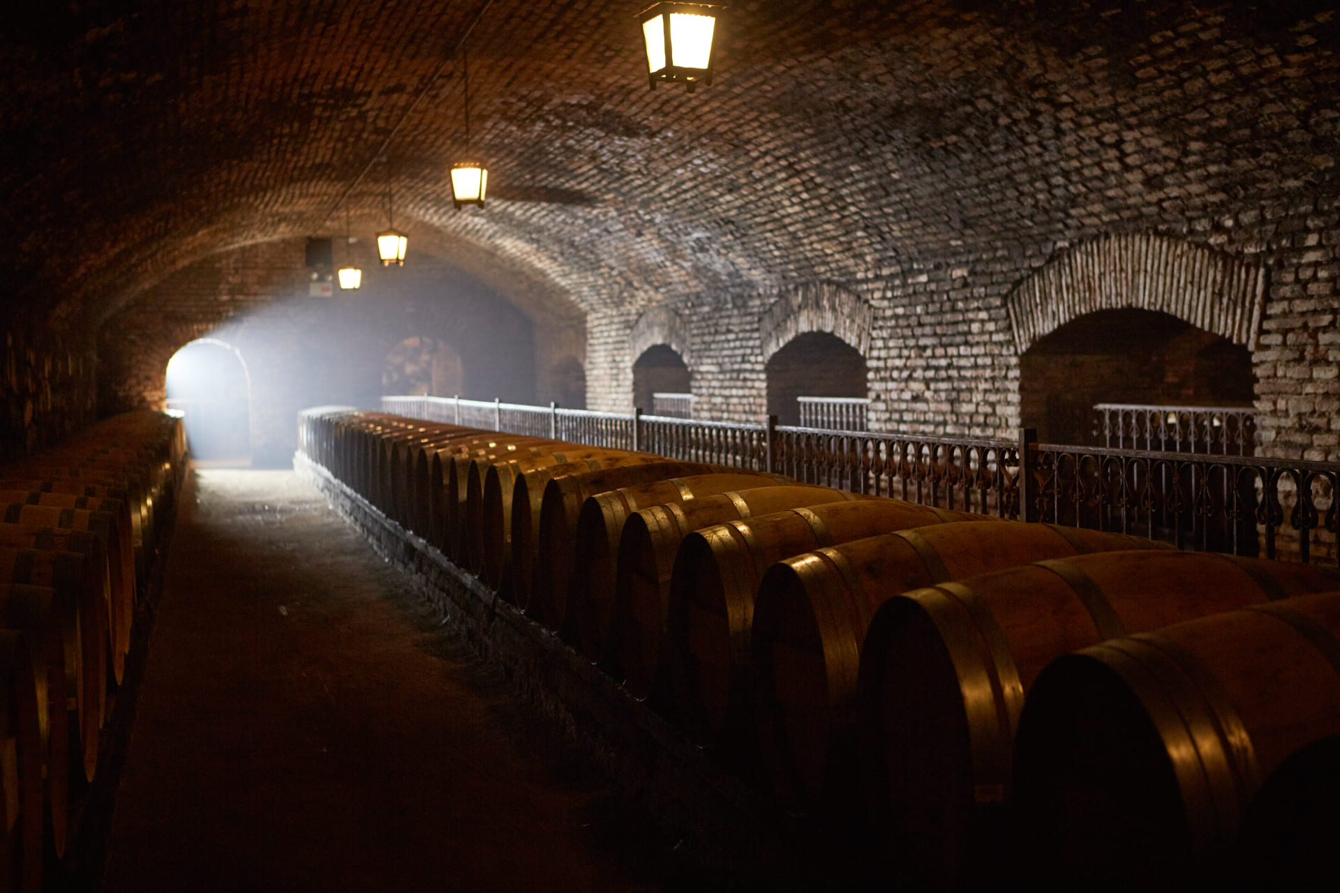 Bodega 1883